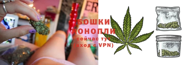 спайс Тавда