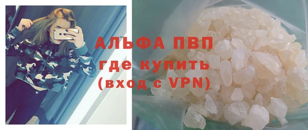 спайс Тавда