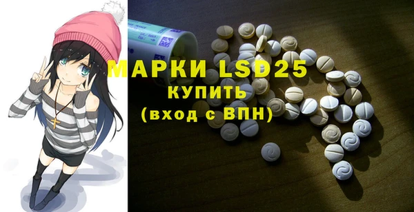 спайс Тавда