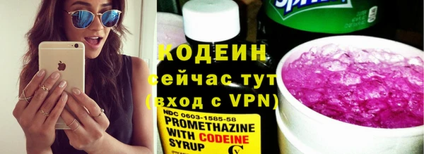 спайс Тавда