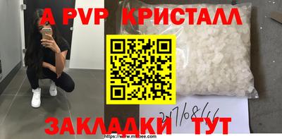 индика Можга