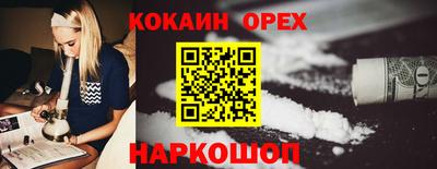 индика Можга