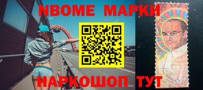индика Можга