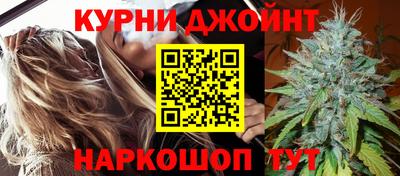 индика Можга