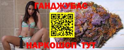 индика Можга