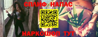 индика Можга