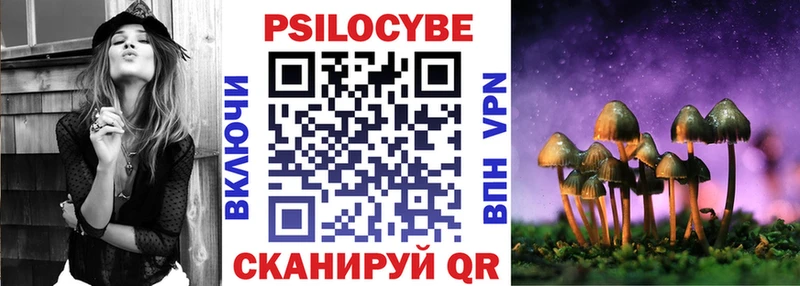 Галлюциногенные грибы Psilocybe  Гатчина 